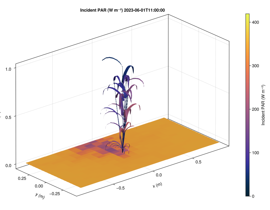 Wheat scene coloured by incident PAR irradiance.