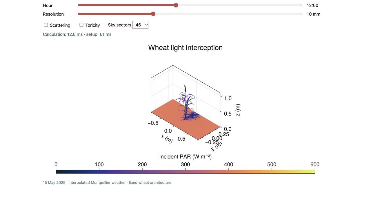 A three-dimensional wheat plant and its shadow on the ground, coloured by incident PAR irradiance, with controls for hour, resolution, scattering, toricity and sky sectors.